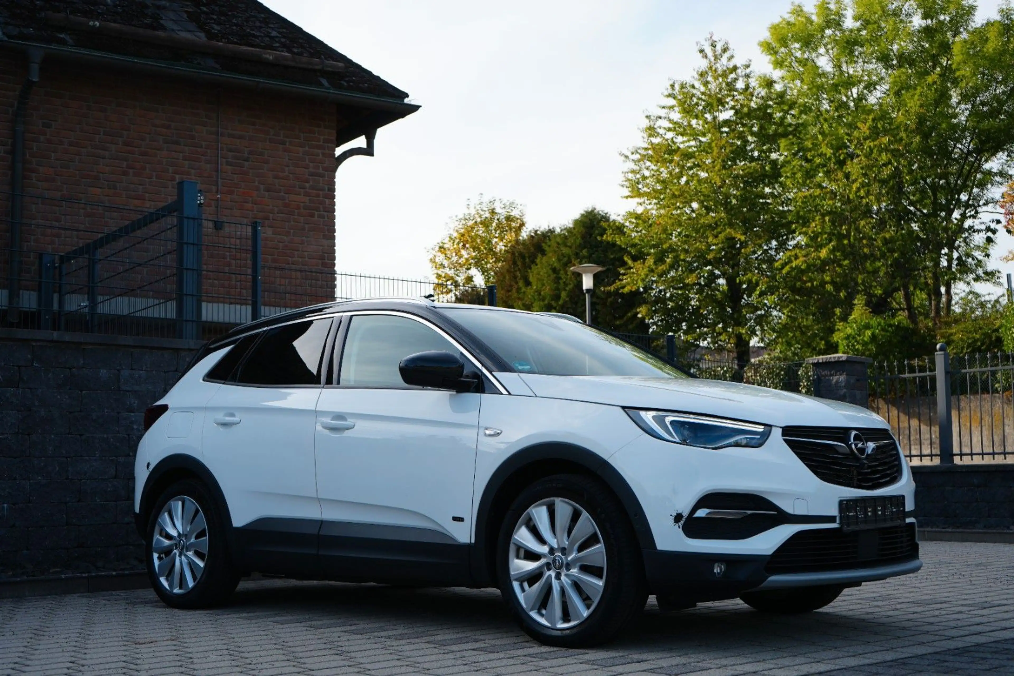 Opel Grandland X 1.6 Plug-in Hybrid4 INNOVATION 1.Hand/360°/ACC — photo 10