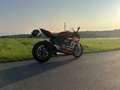 Ducati Panigale V2 Bayliss Anniversary - thumbnail 3