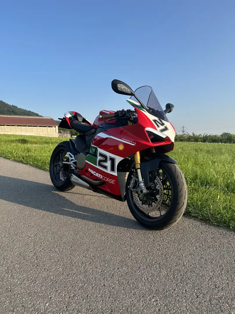 Ducati Panigale V2 Bayliss Anniversary - 1