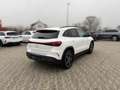 Mercedes-Benz EQA 250 AMG-Line+Pano+360°+Memory+HUD+Easy-Pack Weiß - thumbnail 3