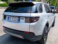 Land Rover Discovery Sport 2.0d td4 mhev SE awd 163cv auto Argent - thumbnail 7