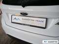 Ford Fiesta Ford 1.25 Trend /Sitzheizung/USB/AUX/ Bianco - thumbnail 14