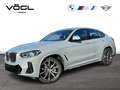 BMW X4 xDrive20d M Sportpaket Head-Up HiFi DAB WLAN Gris - thumbnail 1
