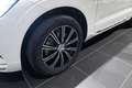 Volvo XC60 B4 Inscription PANODAK | MEMORY SEATS | CARPLAY | Blanc - thumbnail 8