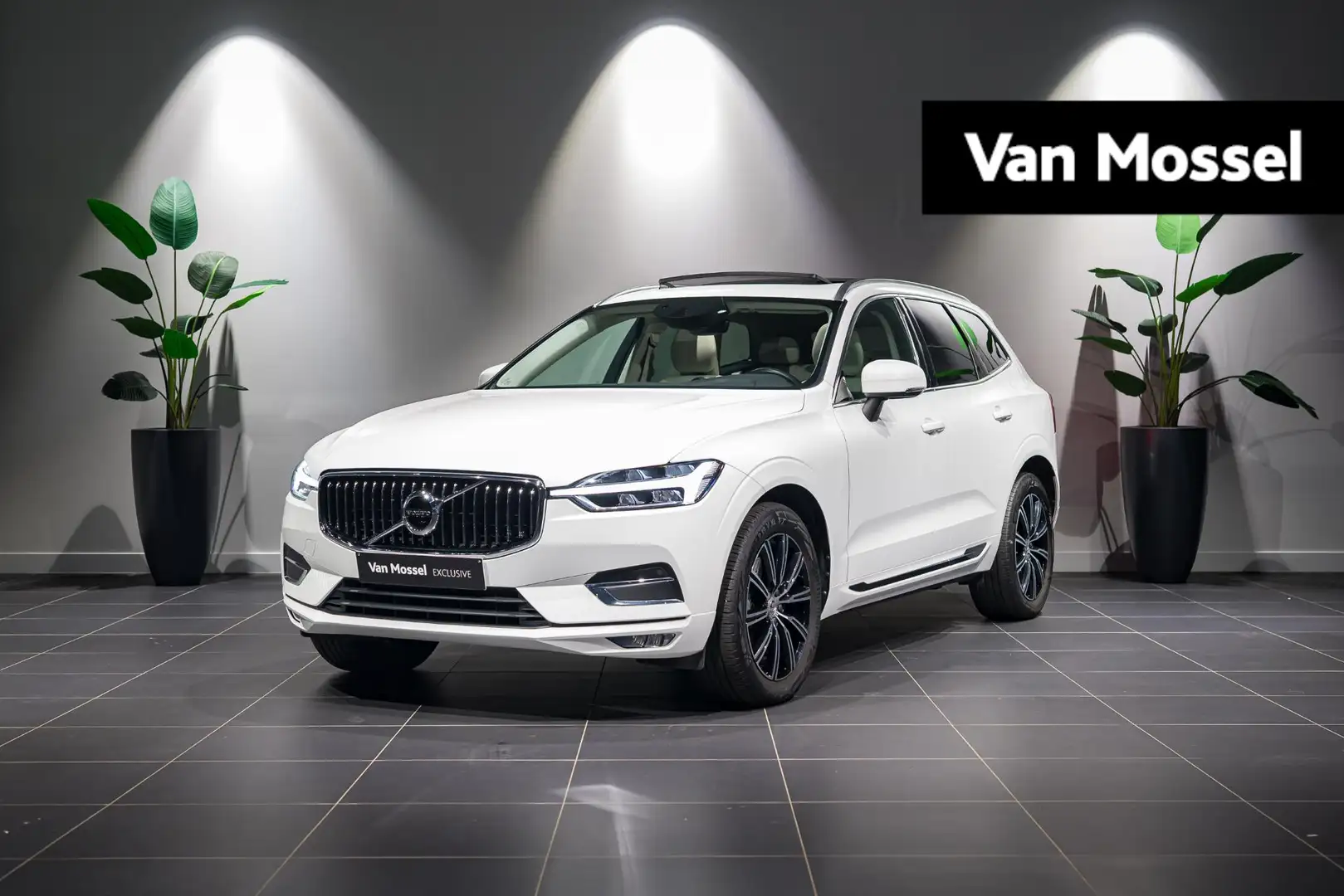 Volvo XC60 B4 Inscription PANODAK | MEMORY SEATS | CARPLAY | Blanc - 1
