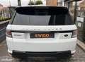 Land Rover Range Rover Sport Land 3.0 TDV6 260cv HSE 4WD BVA Bianco - thumbnail 14