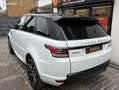 Land Rover Range Rover Sport Land 3.0 TDV6 260cv HSE 4WD BVA Bianco - thumbnail 13