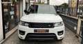 Land Rover Range Rover Sport Land 3.0 TDV6 260cv HSE 4WD BVA Bianco - thumbnail 8