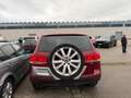 Volkswagen Touareg V8 Rot - thumbnail 5