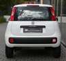 Fiat Panda 0.9 TwinAir Natural Power Easy Benzin + Gas Wit - thumbnail 4