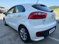 Kia Rio Rio 5p 1.2 Cool eco Gpl Bianco - thumbnail 6