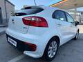 Kia Rio Rio 5p 1.2 Cool eco Gpl Bianco - thumbnail 4