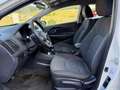 Kia Rio Rio 5p 1.2 Cool eco Gpl Bianco - thumbnail 8