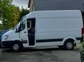 Hyundai H 350 H350 Cargo L2H2 EU6 S Alb - thumbnail 6