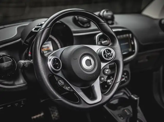Smart Fortwo view 19