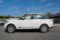 Land Rover Range Rover Vogue Wit - thumbnail 4