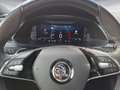 Skoda Superb Combi 2.0 TSI DSG 4x4 Sportline Pano DCC Grau - thumbnail 10
