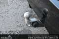 BMW 540 XD M SPORT/SHADOW/LCI/ WIDES./STAND./B&W/360°/ACC Schwarz - thumbnail 39