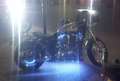 Harley-Davidson Sportster 883 XL SPORTSTER 883L LOW Zilver - thumbnail 19