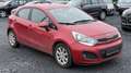 Kia Rio Rio 1.1 CRDi Export Handelaar Rojo - thumbnail 7