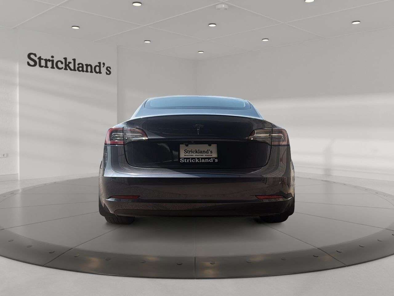 2019 Tesla Model 3 STANDARD RANGE PLUS — снимка 1