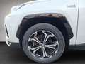 Suzuki Across 2,5 PHEV E-Four Flash CVT Weiß - thumbnail 19