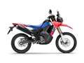 Honda CRF 300 Rally CRF 300 RALLY - YM 2025 - thumbnail 1