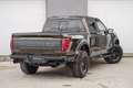 Ford F 150 New Raptor € 105000 +J3KAG 360 DEGREE CAMERA Vert - thumbnail 7