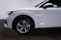 Audi Q5 50 2.0 TFSI e quattro S-Line S-Line/AUT/LED/N Weiß - thumbnail 3
