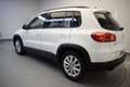 Volkswagen Tiguan Cross 2.0 TDI 110cv Bluemotion Tech 4x2 Weiß - thumbnail 6