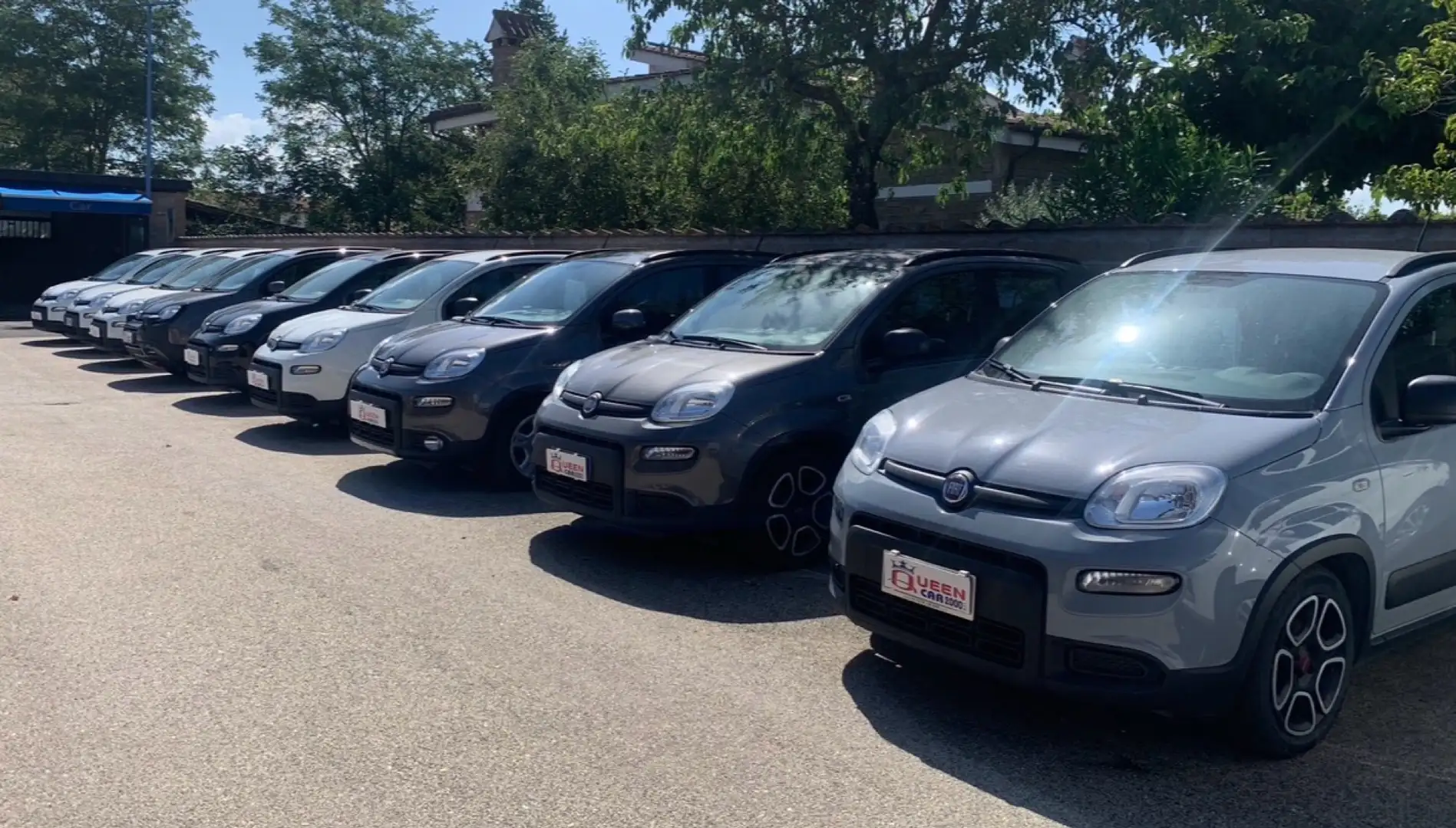 Fiat Panda 1.0 hybrid City Life+Radio APP - PREZZO REALE Weiß - 1