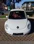 Volkswagen New Beetle New Beetle 1.9 tdi 105cv Beyaz - thumbnail 6