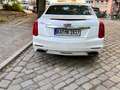 Cadillac CTS CTS 2.0T AWD AT8 Premium Bílá - thumbnail 7