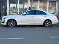 Cadillac CTS CTS 2.0T AWD AT8 Premium Bílá - thumbnail 2
