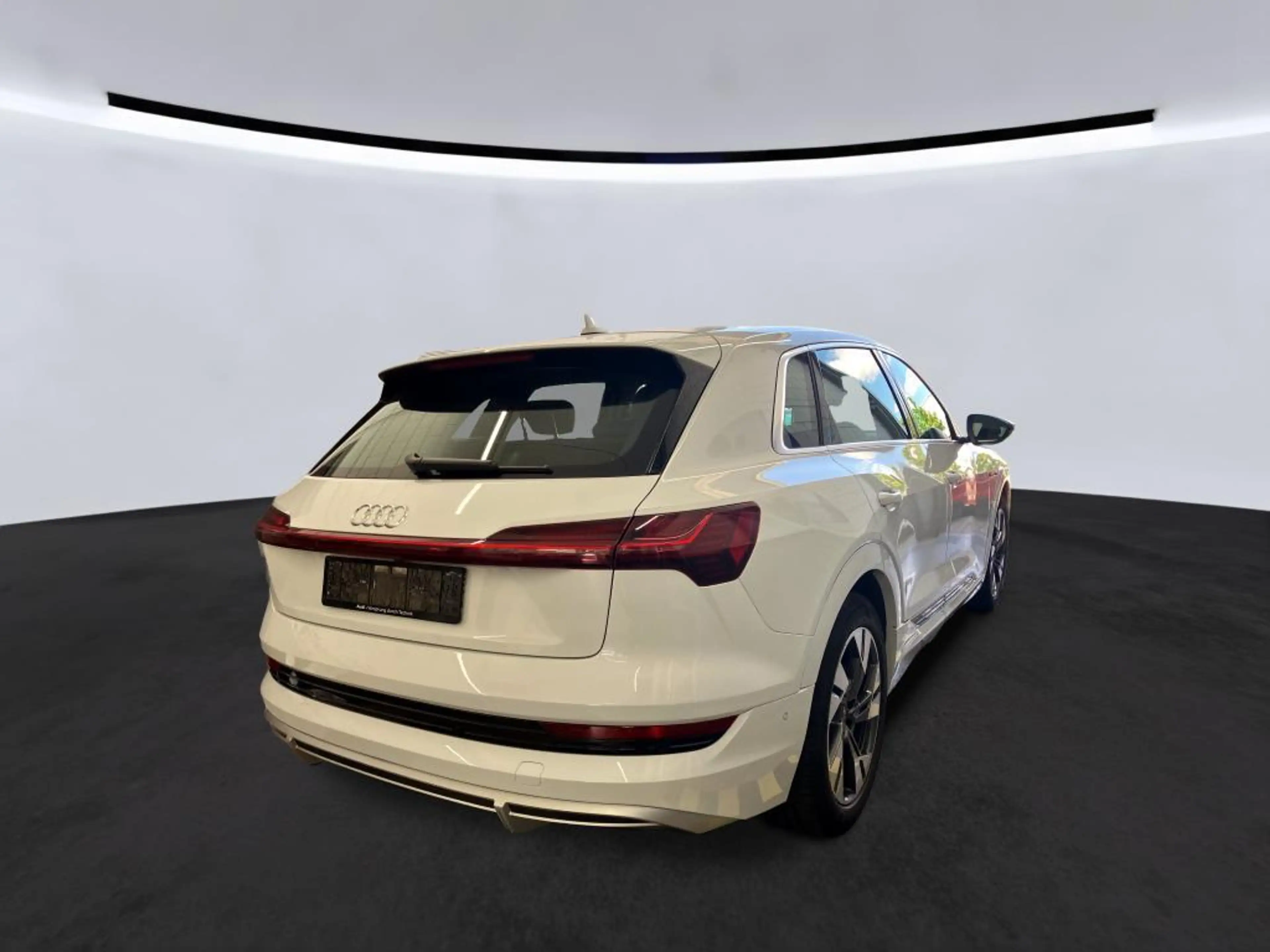 Audi e-tron 55 2x S LINE ACC/SIDE/MEMORY/DAB/DSP/360° — photo 8