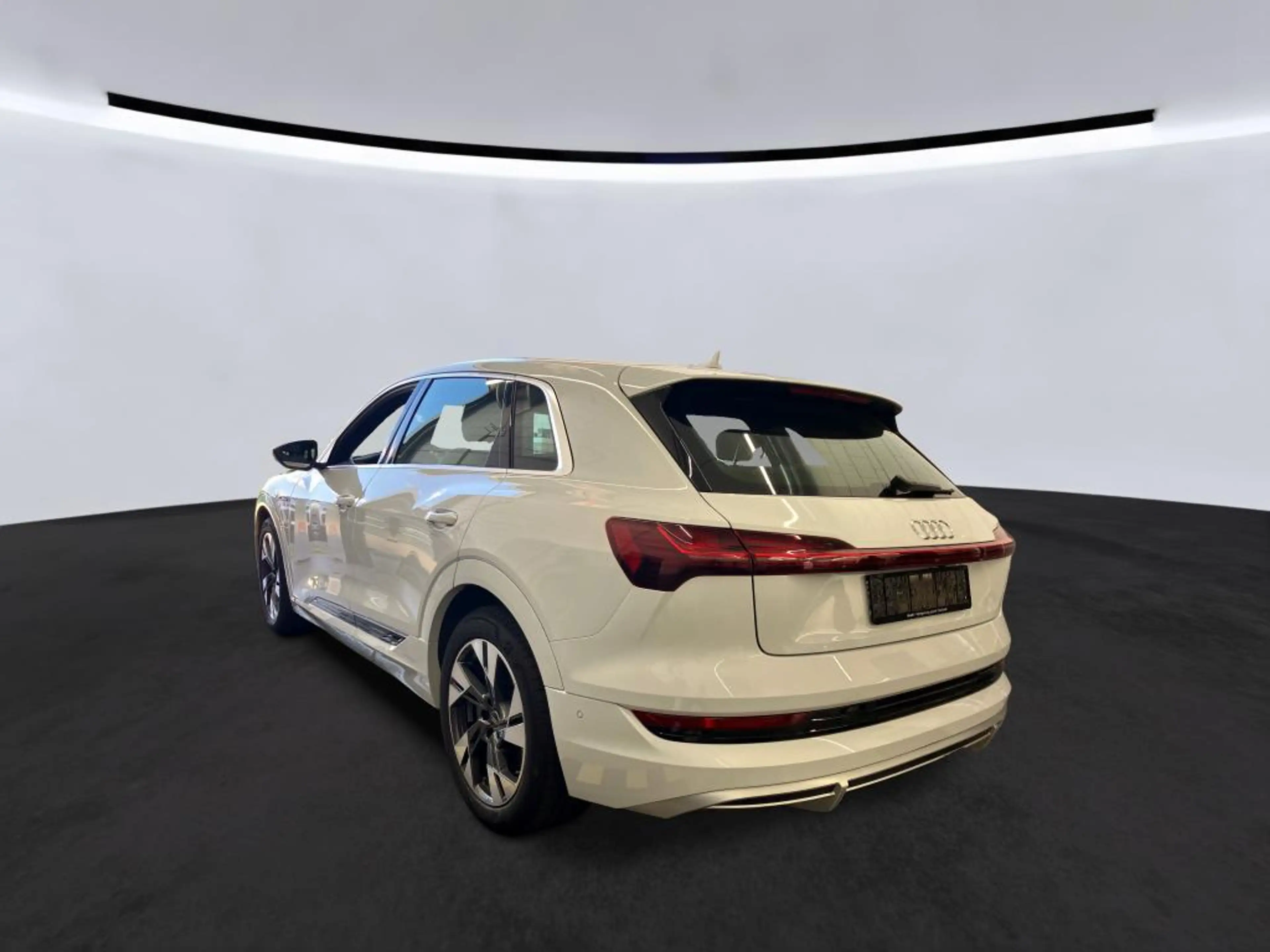 Audi e-tron 55 2x S LINE ACC/SIDE/MEMORY/DAB/DSP/360° — photo 9