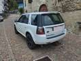 Land Rover Freelander Freelander II 2011 2.2 td4 SE 4wd 150cv Bianco - thumbnail 6