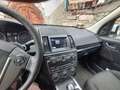 Land Rover Freelander Freelander II 2011 2.2 td4 SE 4wd 150cv Bianco - thumbnail 3