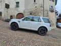 Land Rover Freelander Freelander II 2011 2.2 td4 SE 4wd 150cv Bianco - thumbnail 1