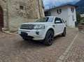 Land Rover Freelander Freelander II 2011 2.2 td4 SE 4wd 150cv Bianco - thumbnail 5