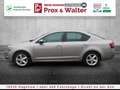 Skoda Octavia 1.5 TSI 7-DSG Style Plus LED+NAVI+KAMERA Бежевый  - thumbnail 4