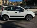 Fiat Panda 1.0 FIREFLY S&S HYBRID CITY LIFE+U-CONNECT+USB!!! Blanc - thumbnail 18