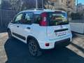 Fiat Panda 1.0 FIREFLY S&S HYBRID CITY LIFE+U-CONNECT+USB!!! Bianco - thumbnail 6