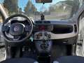Fiat Panda 1.0 FIREFLY S&S HYBRID CITY LIFE+U-CONNECT+USB!!! Bianco - thumbnail 7