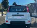 Fiat Panda 1.0 FIREFLY S&S HYBRID CITY LIFE+U-CONNECT+USB!!! Bianco - thumbnail 3