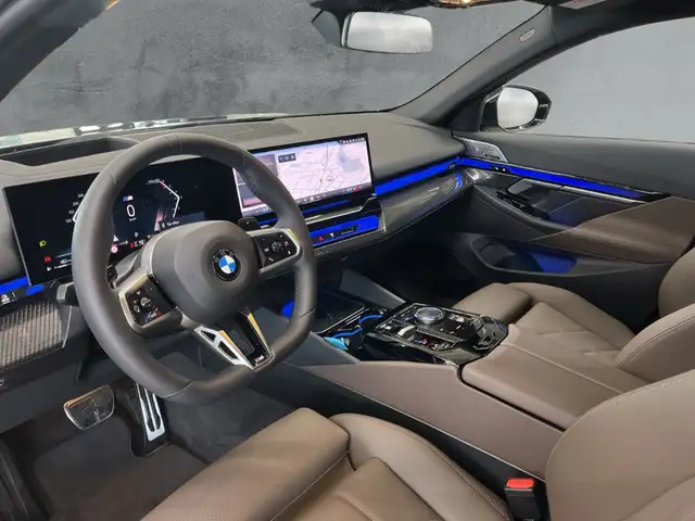BMW 5 Series view 9