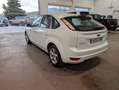 Ford Focus 1.6TDCi Trend Weiß - thumbnail 7
