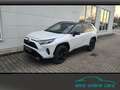 Toyota RAV 4 2.5 Style MJ25 Smart Entry*Leder*Totwinkel Blanc - thumbnail 1