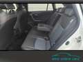 Toyota RAV 4 2.5 Style MJ25 Smart Entry*Leder*Totwinkel Blanc - thumbnail 13