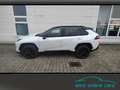 Toyota RAV 4 2.5 Style MJ25 Smart Entry*Leder*Totwinkel Blanc - thumbnail 6